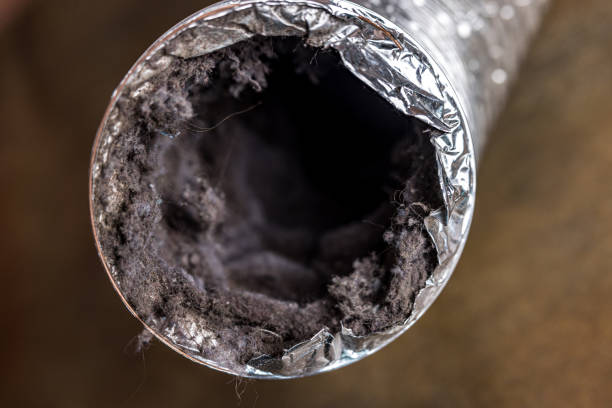 Best Air Duct Cleaning Near Me  in Finderne, NJ